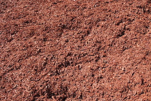 Red Dyed Mulch