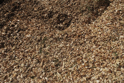 Woodchips