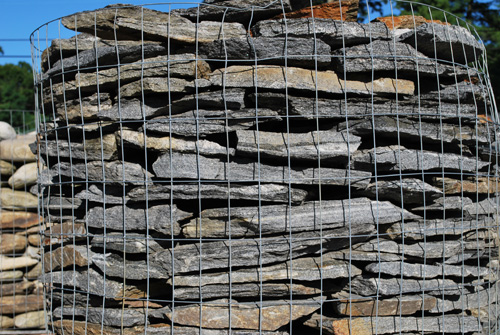 Swiss Sparrie Thin