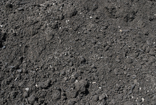 Screened and composted topsoil