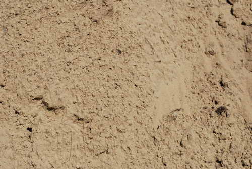 Fill Dirt