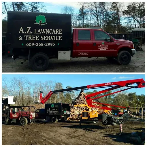 A.Z. Tree Service crew and equipment for storm-damaged trees